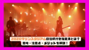 ZOZOマリンスタジアムの注釈付き指定席とは？意味・注意点・メリットを解説！
