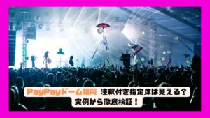 PayPayドーム福岡 注釈付き指定席は見える？実例から徹底検証！