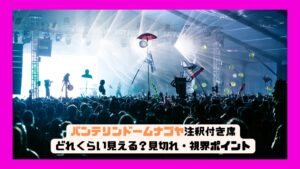 バンテリンドームナゴヤ 注釈付き席はどれくらい見える？見切れ・視界ポイント完全ガイド